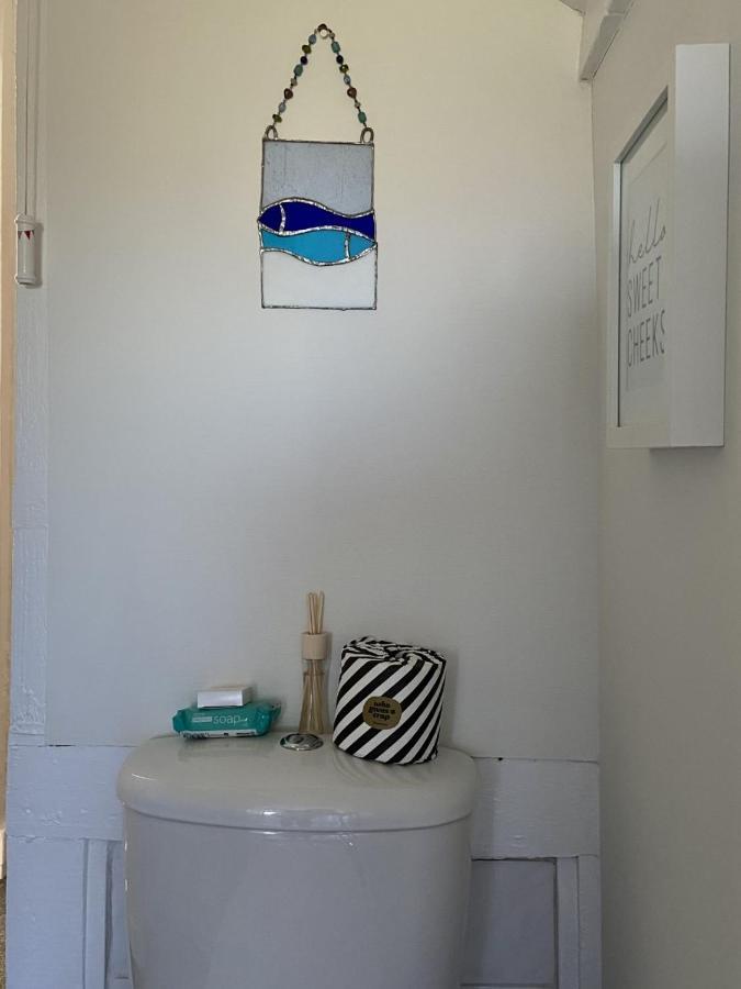 Dog Friendly Studio Flat Appartamento Topsham Esterno foto