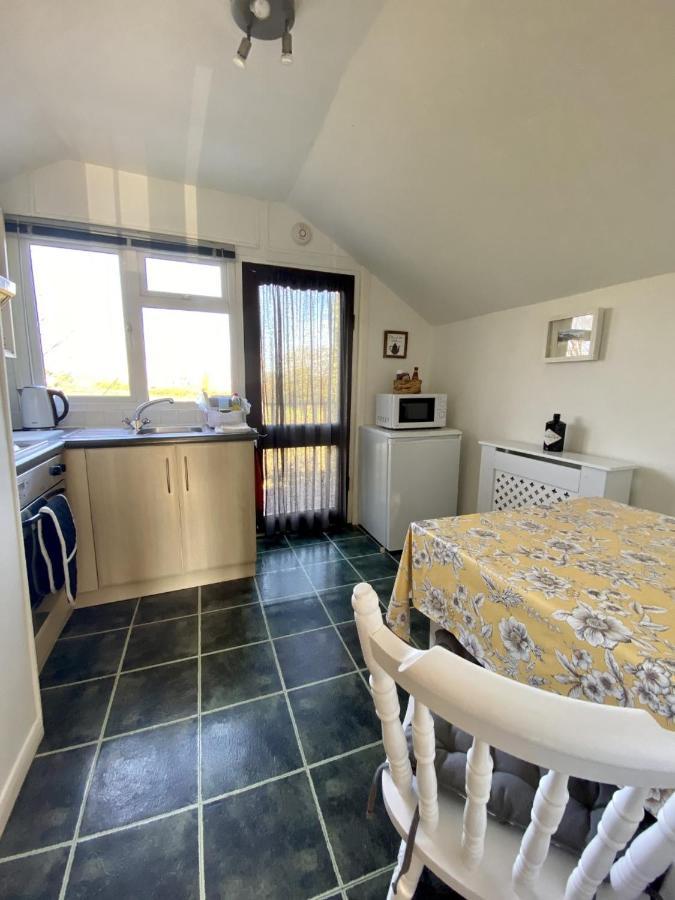 Dog Friendly Studio Flat Appartamento Topsham Esterno foto